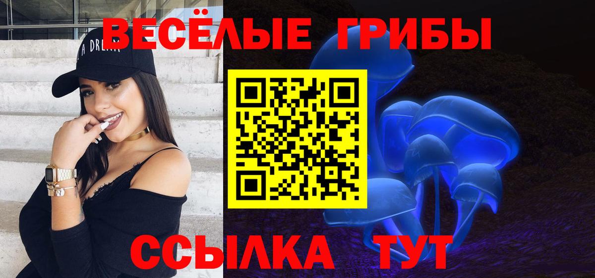 Рязань  Псилоцибиновые грибы прущие грибы  Вход с VPN  Галлюциногенные грибы мухоморы 